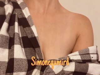Simonequmird