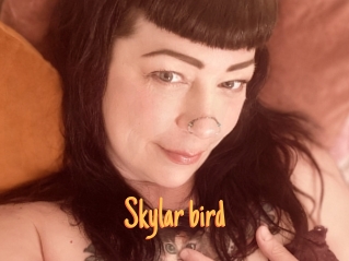 Skylar_bird