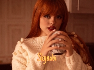 Skynabi
