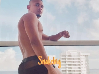 snakebig Mobile Porno