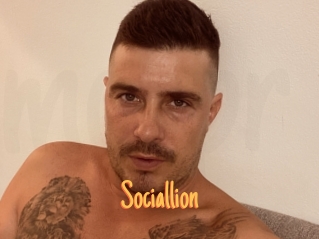 Sociallion