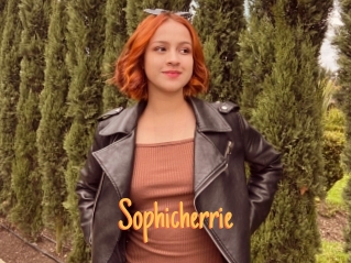Sophicherrie