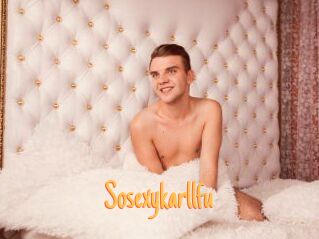 Sosexykarllfu