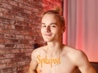 Spikepoel