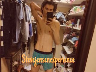 Stevejensenexperience