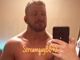 Streamguy8895