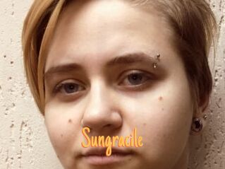 Sungracile