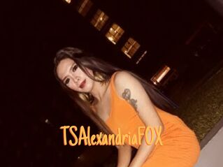 TSAlexandriaFOX