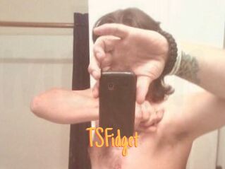 TSFidget