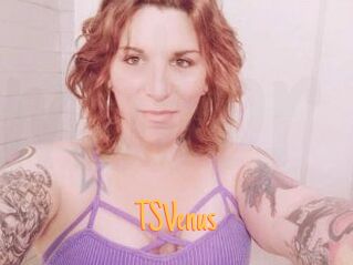 TS_Venus