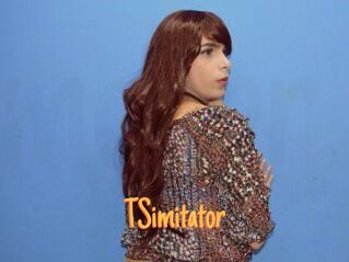 TSimitator