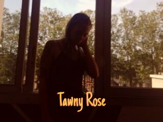 Tawny_Rose
