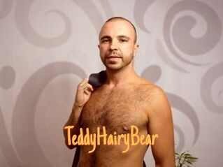 TeddyHairyBear