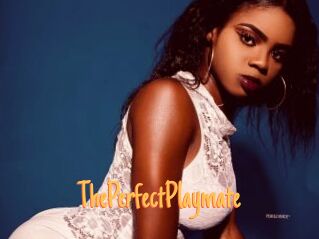 ThePerfectPlaymate