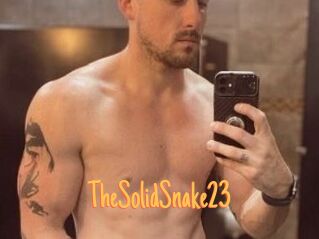 TheSolidSnake23 Mobile Porno