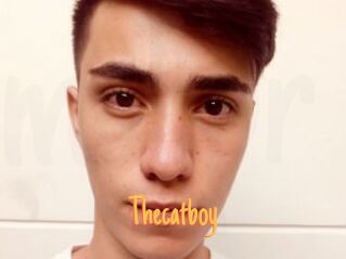 Thecatboy