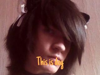 This_is_dog