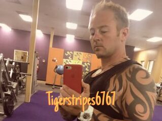 Tigerstripes6767