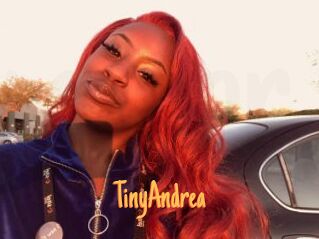TinyAndrea