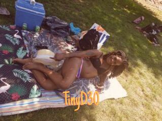 TinyD30