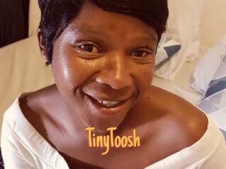 TinyToosh