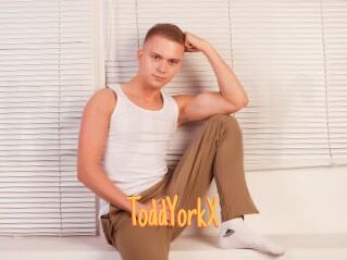 ToddYorkX