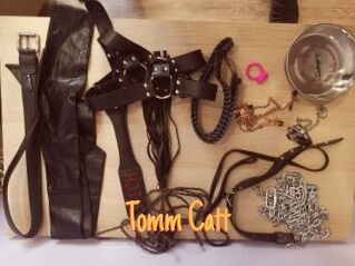 Tomm_Catt