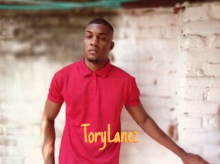 ToryLanez