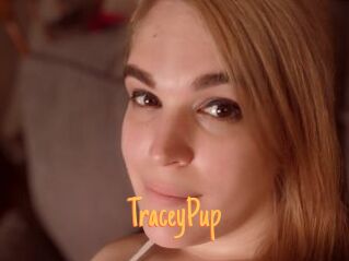 TraceyPup