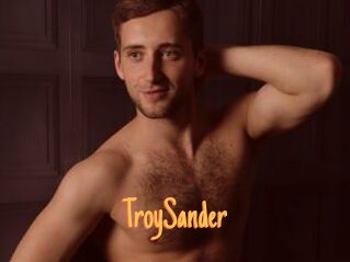 TroySander