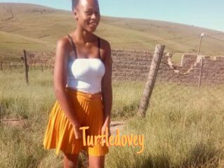 Turtledovey