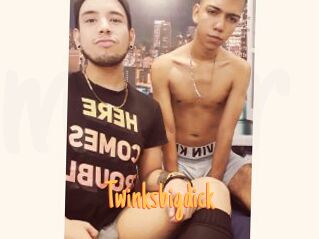 Twinksbigdick