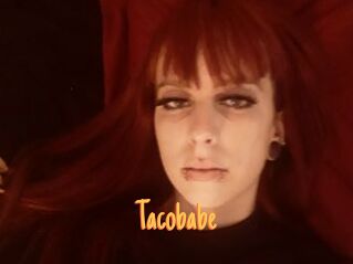 Tacobabe