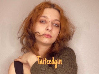 Taiteedgin