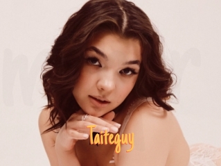 Taiteguy