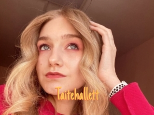 Taitehallett