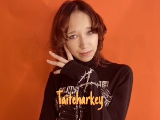 Taiteharkey