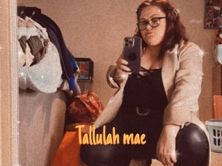 Tallulah_mae