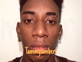 Tammylambert