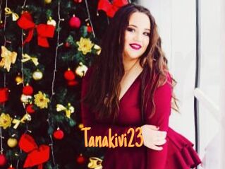 Tanakivi23