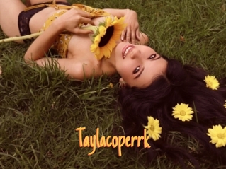 taylacoperrk Mobile Porno