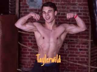 Taylerwild