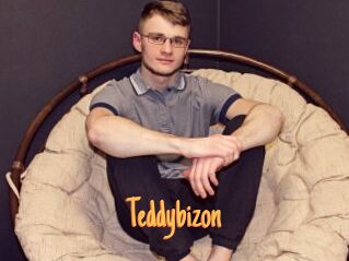 Teddybizon