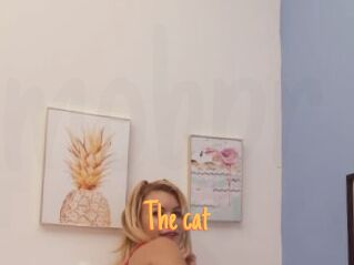 The_cat