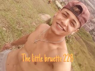 The_little_bruette_228