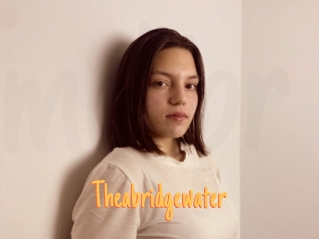 Theabridgewater