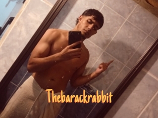 Thebarackrabbit