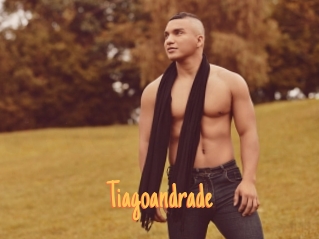 tiagoandrade Mobile Porno