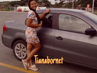 Tianabornet