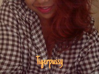 tigerpussy Mobile Porno